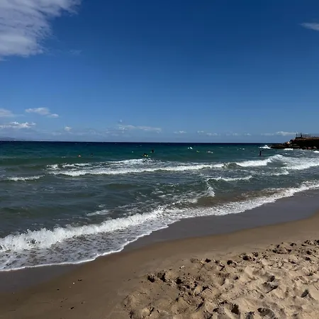 Secret Garden Airport-beach 300m From Famous Davis