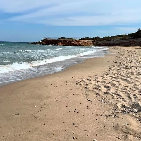 Secret Garden Airport-beach 300m From Famous Davis *